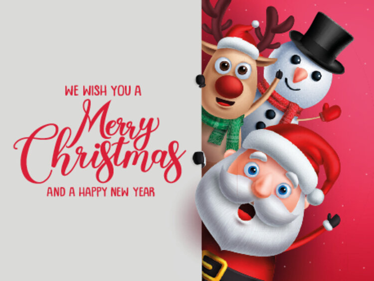 FROHE WEIHNACHTEN und einen GUTEN RUTSCH!