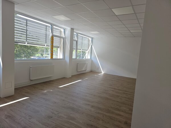 Euro-Schulen Chemnitz ziehen zum 4. September 2023 um