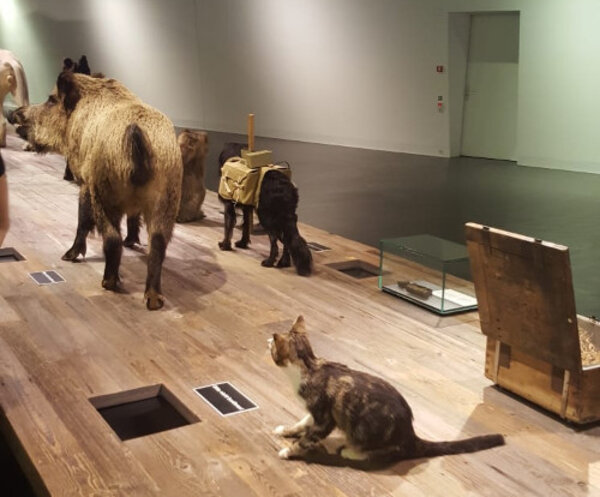 Gegensätze ziehen sich an – Contrasts are known to attract each other