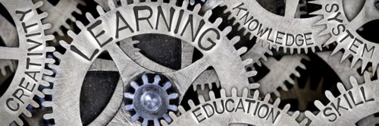 Neue Maßnahme an den Euro-Schulen Mettmannn