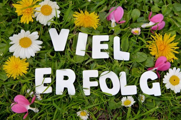 Ihr schafft das! Weiße Buchstaben liegen auf einer grünen Wiese und bilden die Worte "Viel Erfolg". Auf der Wiese zu sehen sind außerdem Gändeblümchen, Löwenzahn und Veilchen.
