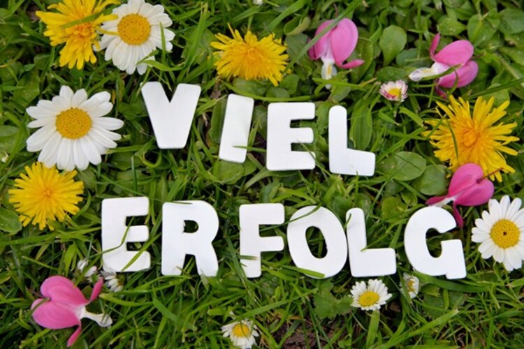 Ihr schafft das! Weiße Buchstaben liegen auf einer grünen Wiese und bilden die Worte "Viel Erfolg". Auf der Wiese zu sehen sind außerdem Gändeblümchen, Löwenzahn und Veilchen.