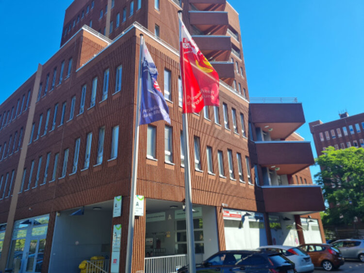 30 Jahre Euro-Schulen Berlin-Brandenburg: ruhige Kugel beim Sommerfest