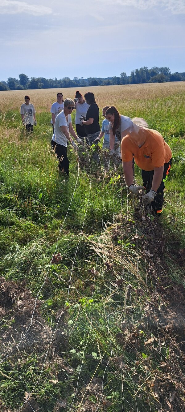 Spitzberg – die Zweite