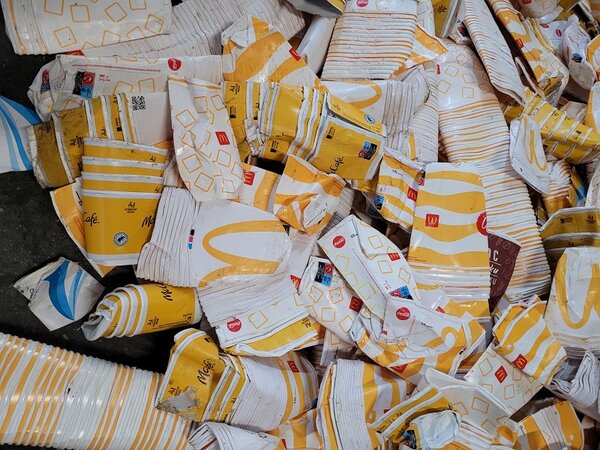 Mit Ausbildung Klimaretter*in werden