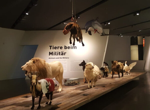 Gegensätze ziehen sich an – Contrasts are known to attract each other