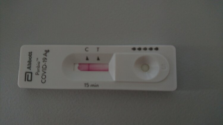 Wichtiges Know-how im Kampf gegen Corona