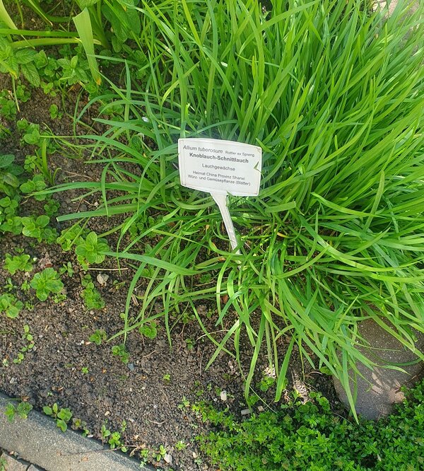 Unterricht mal anders