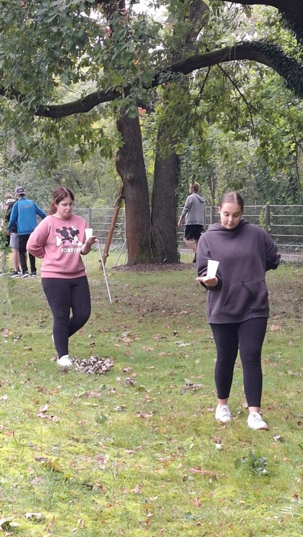 Ein Tag voller Bewegung