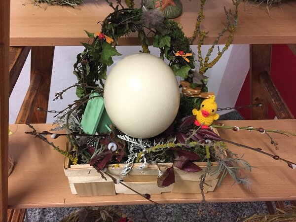 Projekt „Frühlingserwachen“