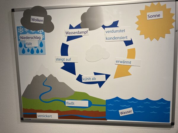 Exkursion ins Stadtmuseum Jena Eine Schautafel mit einer grafischen Darstellung des Wasserkreislaufs. Begriffe wie „Niederschlag“, „Verdunstung“, „Kondensation“ und „Versickerung“ erklären den natürlichen Prozess von Wasser in der Umwelt.