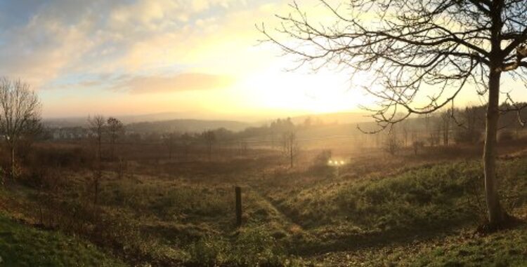 BvB: Über den Dächern von Hildesheim