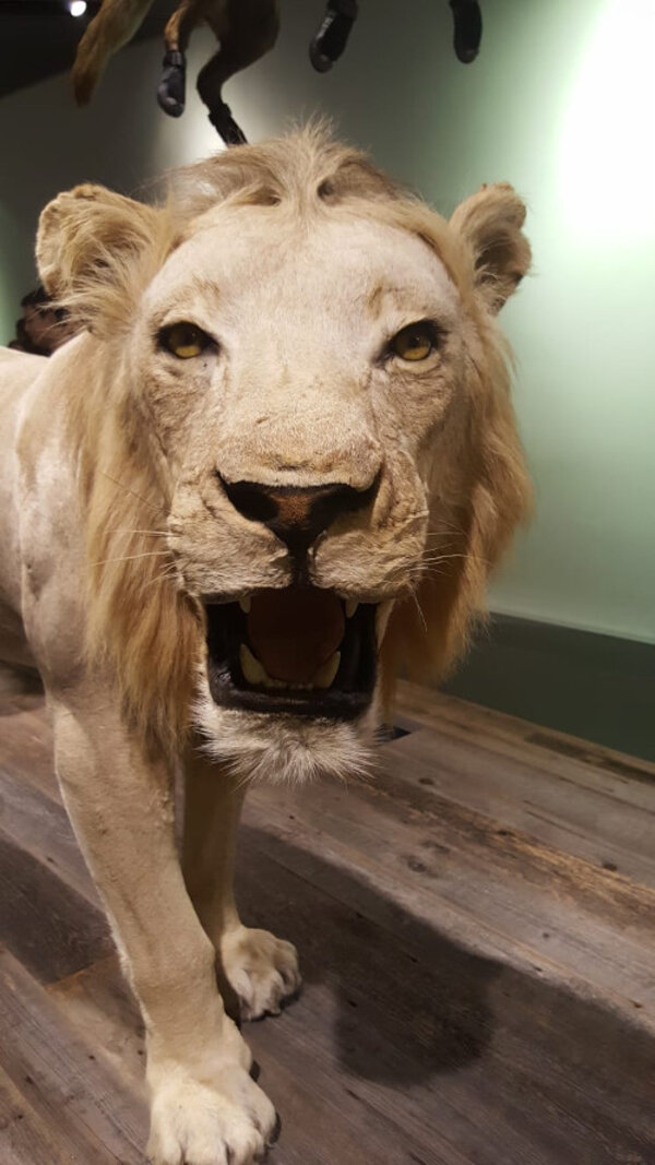 Gegensätze ziehen sich an – Contrasts are known to attract each other