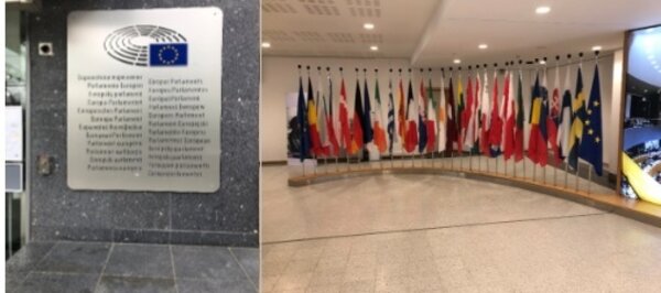 Abschlussbericht der Vorphase in der assistierten Ausbildung flexibel