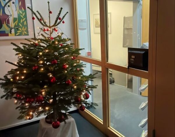 Gemeinsam auf Weihnachten freuen Ein geschmückter kleinerer Weihnachtsbaum steht auf einem kleinen Tisch in einem Flurbereich vor einer Glastür. An der Wand hängt ein buntes gerahmtes Bild. Der Baum ist mit roten und goldenen Kugeln sowie einer Lichterkette geschmückt.