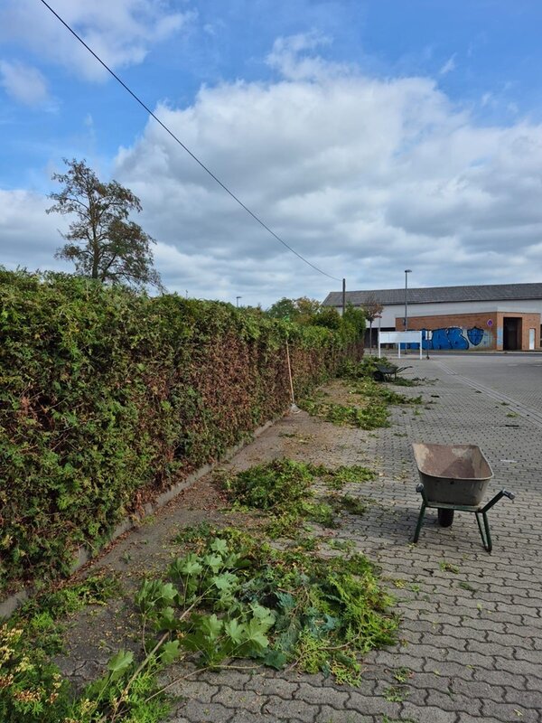 Die neuen BvB-Teilnehmenden packen im Garten an