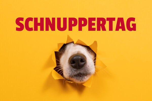 Einladung zum Schnuppertag!