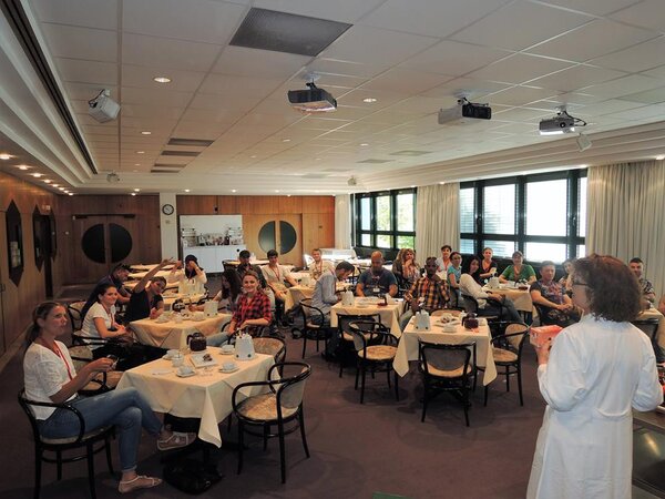 In die Welt des Tees eintauchen ...