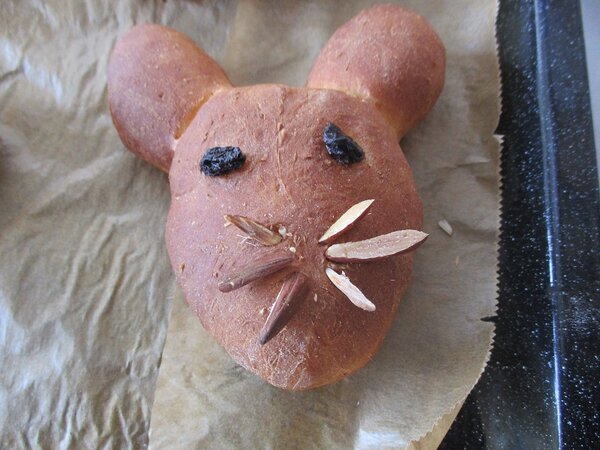 Projekt „Frühlingserwachen“