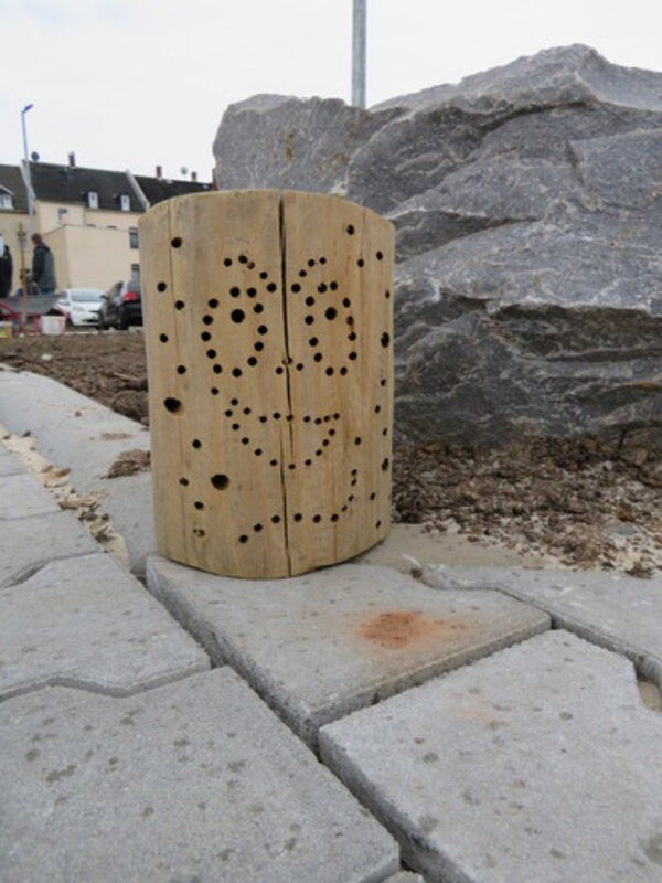 Aktion "Wildblumenwiese": Ackern für den Earth Day