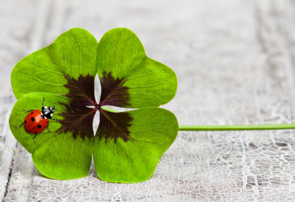 Deutsch-Test für Zuwanderer (DTZ)