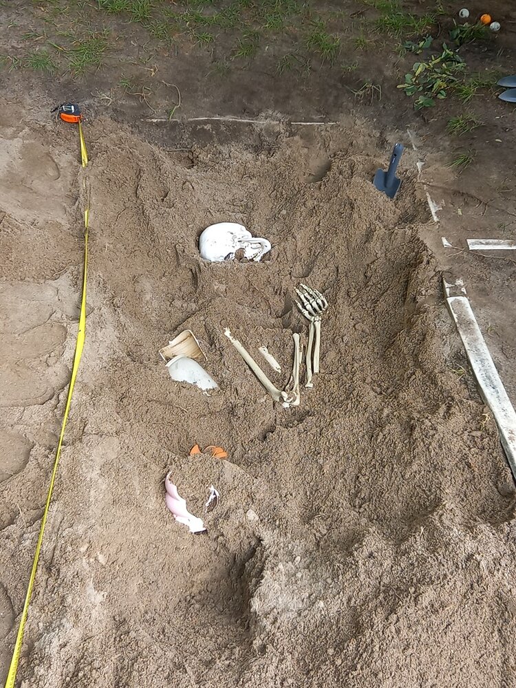 Archäologie hautnah erleben In einer Weitsprungsandkiste liegt das menschliche Skelett Schorsch, das von den Schülerinnen und Schülern der 8. Klasse der Oberschule am Adler im Rahmen des „Vertiefte Berufsorientierung – Praxisberater*innen“ ausgegraben wird.