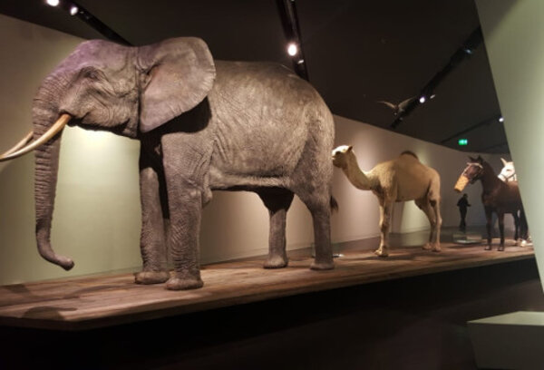 Gegensätze ziehen sich an – Contrasts are known to attract each other