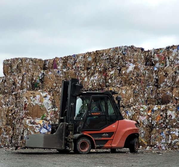 Mit Ausbildung Klimaretter*in werden