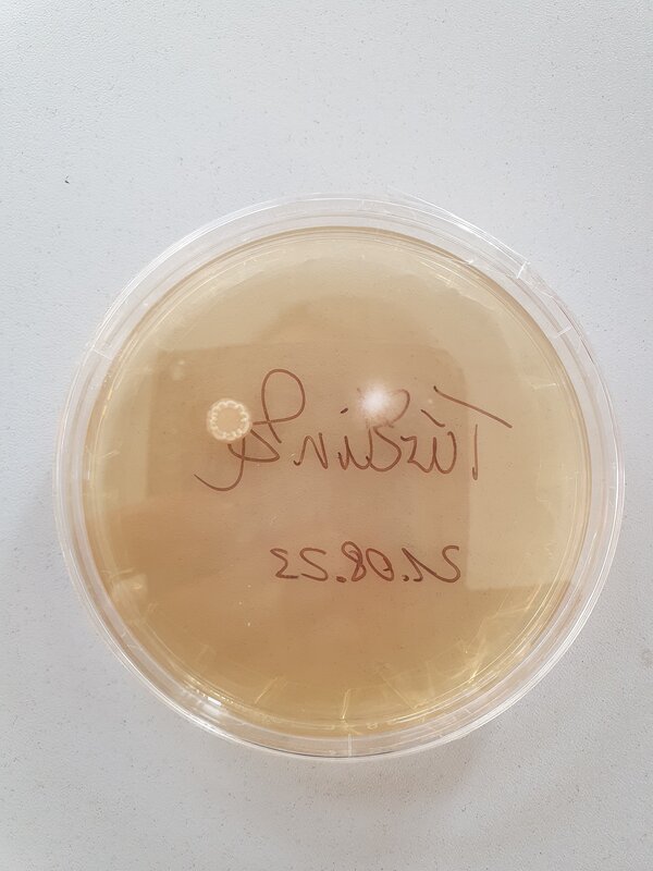 Reha-Ausbildung integrativ: Hurra, unsere neuen Azubis sind da!