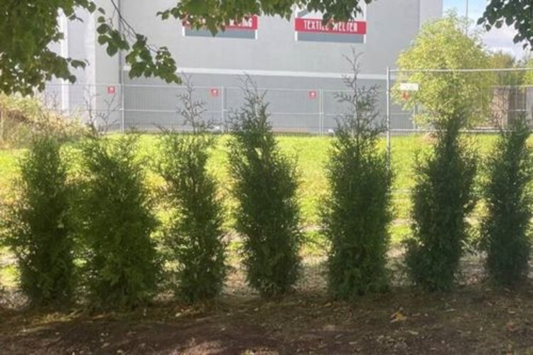 Unser grünes Klassenzimmer