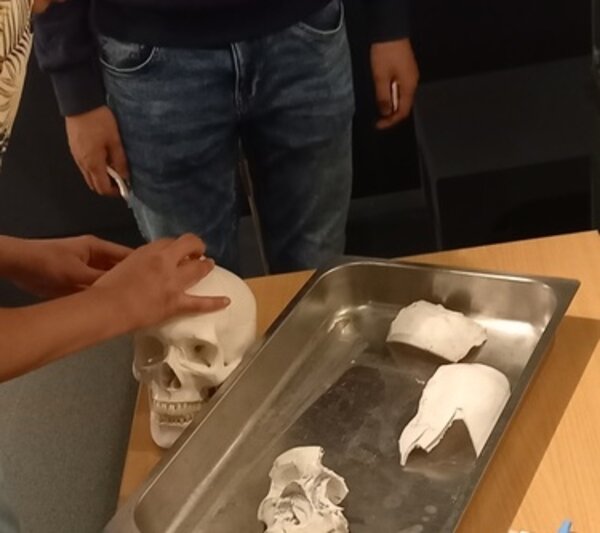 Praxistage an der Oberschule am Adler: Schüler*innen entdecken Berufsvielfalt