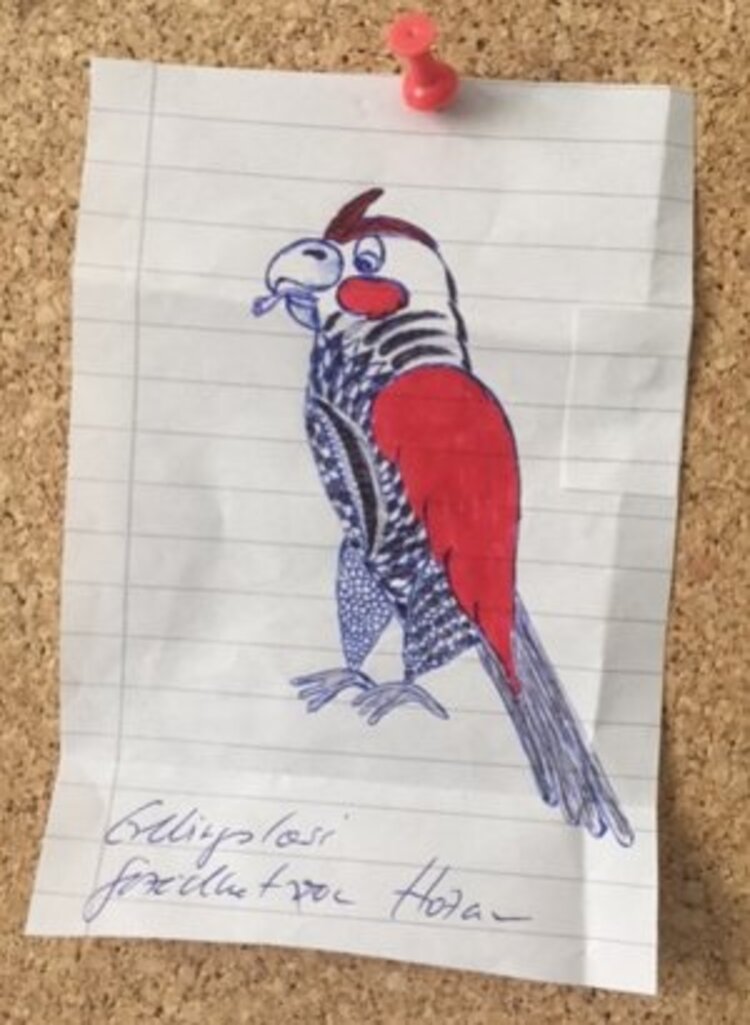 Mit „KompAS“ durch den Zoo!