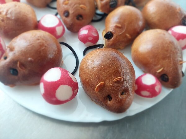 Reha-Ausbildung im Endspurt