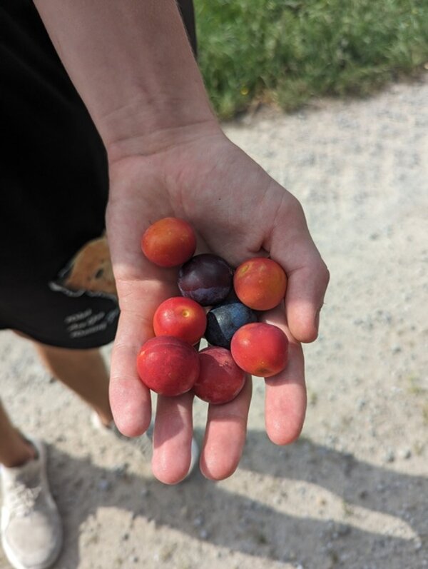 Pilgern: Die diesjährige Tour – und grundsätzliche Gedanken