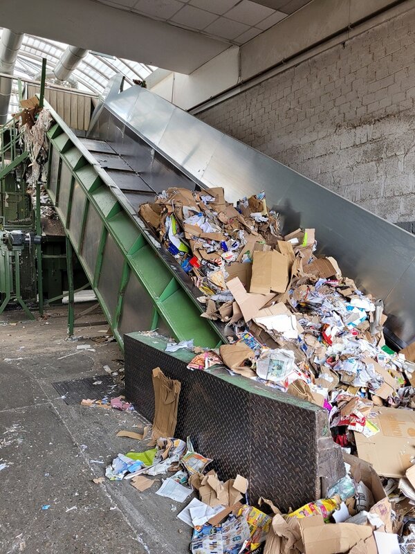 Mit Ausbildung Klimaretter*in werden