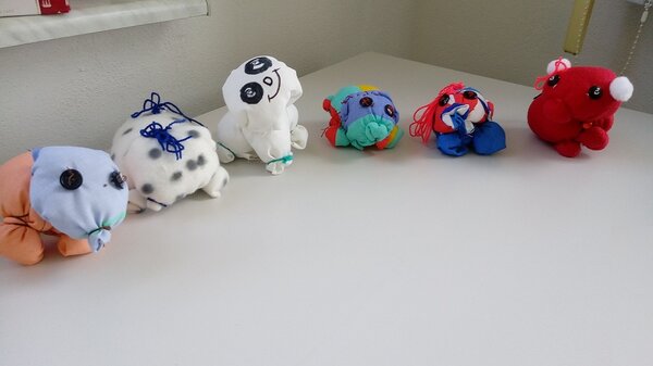 Beginn des neuen Schuljahres 2021