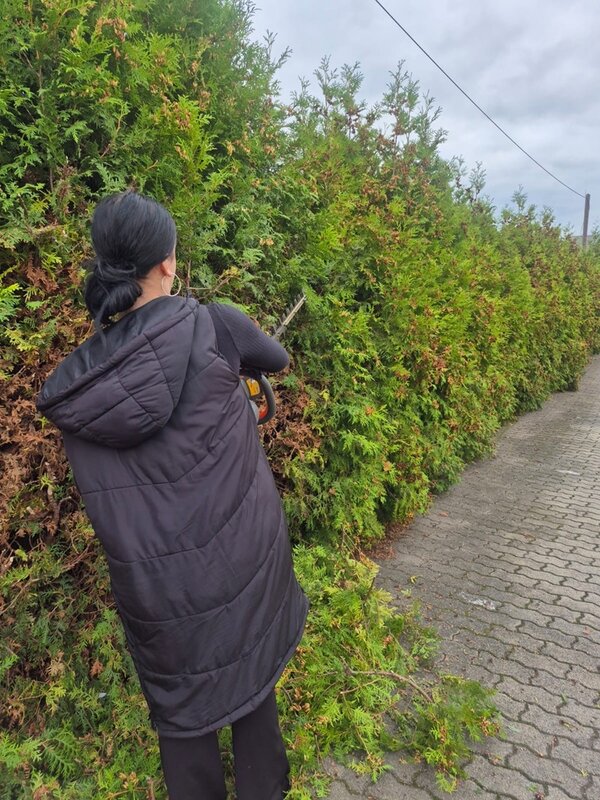 Die neuen BvB-Teilnehmenden packen im Garten an