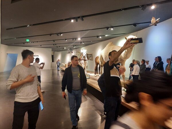 Spannende Exkursion ins Militärhistorische Museum In einem Museum betrachten Besucherinnen und Besucher verschiedene Exponate, darunter ein großes Kamelmodell. Einige Personen machen Fotos oder betrachten die Ausstellungsstücke.