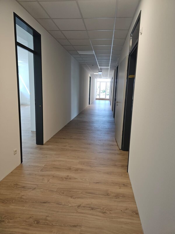 Euro-Schulen Chemnitz ziehen zum 4. September 2023 um