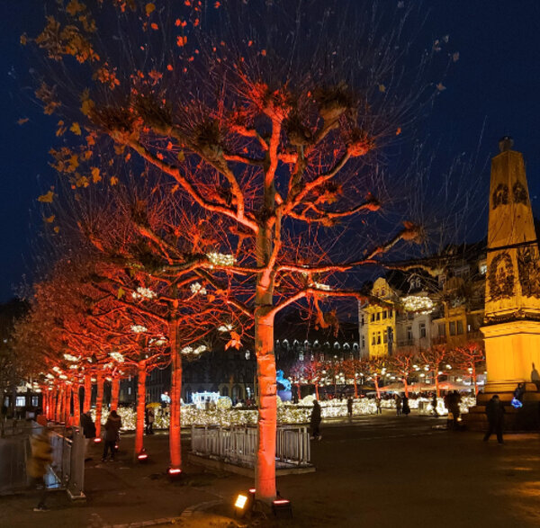 Wir wünschen eine frohe Advents- und Weihnachtszeit
