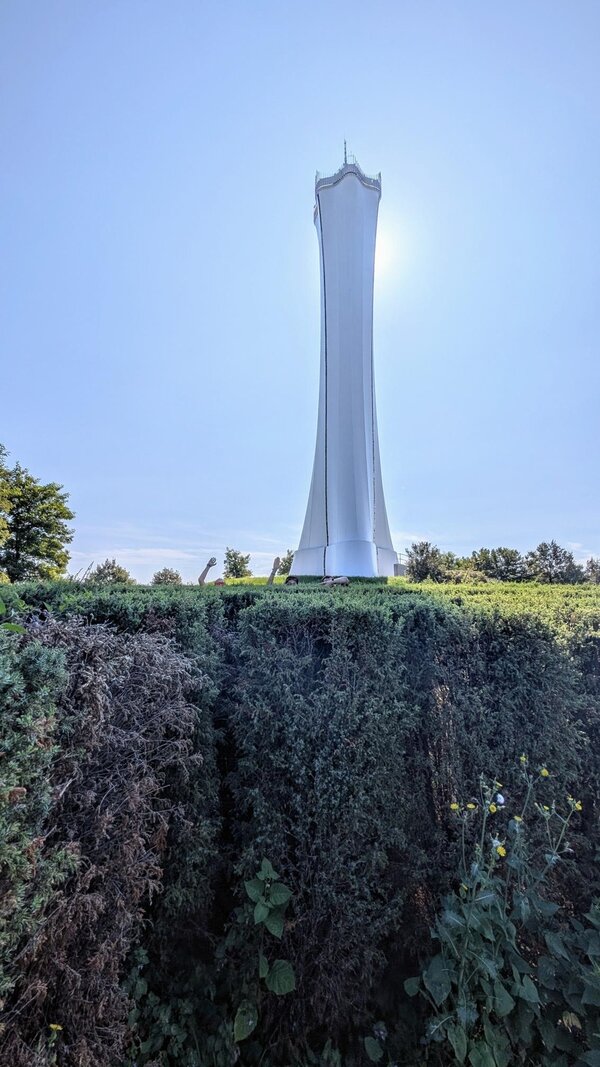 Abschlussfahrt: Erlebnispark Teichland Ein hoher Aussichtsturm, er hinter sich die Sonne verdeckt. Im Vordergrund stehen Büsche.