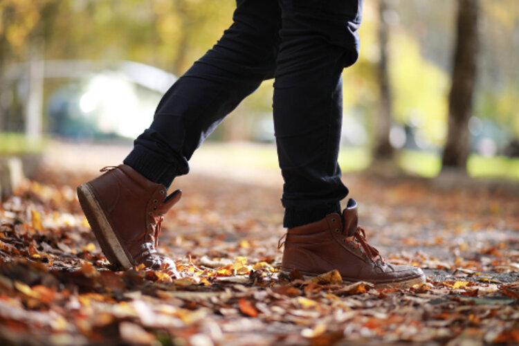 Mit neuer App auf Expedition durch Gransee