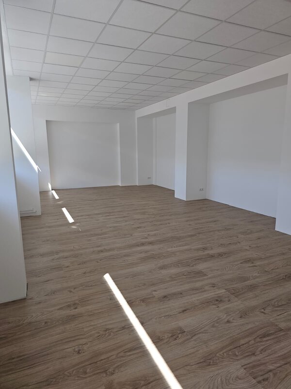 Euro-Schulen Chemnitz ziehen zum 4. September 2023 um