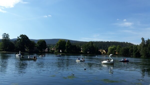 Ein Jahr erfolgreicher Sprachaufenthalte geht zu Ende