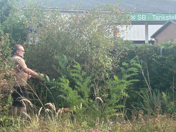 Die neuen BvB-Teilnehmenden packen im Garten an