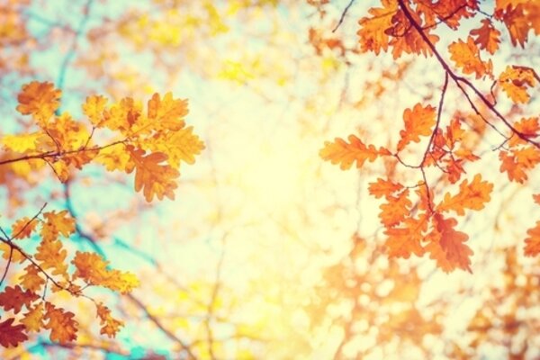 Willkommen zurück aus den Herbstferien!