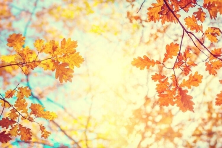 Willkommen zurück aus den Herbstferien!