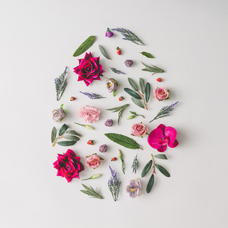 Frohe Ostern und sonnige Feiertage!