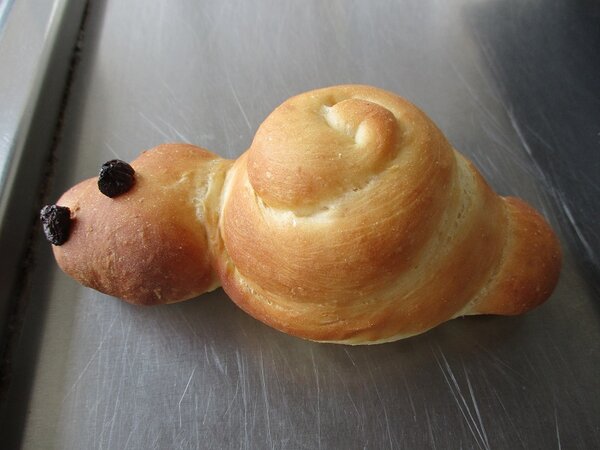 Projekt „Frühlingserwachen“