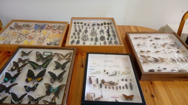 Beginn des neuen Schuljahres 2021